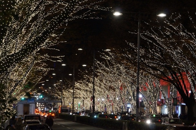 東京・表参道でイルミネーション点灯開始