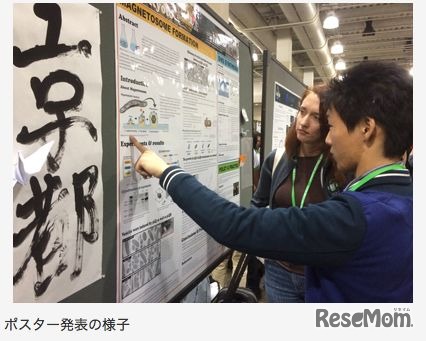 ポスター発表の様子