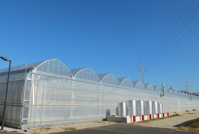 山梨県北杜市の野菜農園