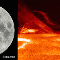 「月と太陽展」イメージ写真