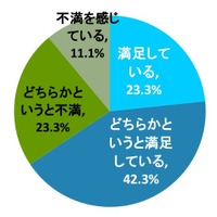 夫の買い物力に満足していますか