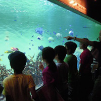 魚の体の形と暮らしに注目（葛西臨海水族園）