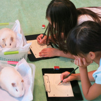 じっくり動物観察（上野動物園）