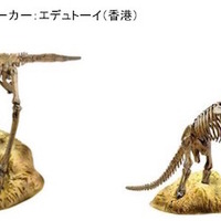 恐竜の化石模型シリーズ