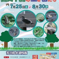 企画展「荒川下流の生き物たち」