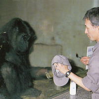 写真：（公財）東京動物園協会