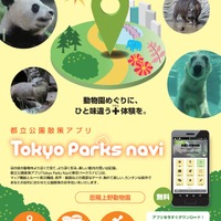 「Tokyo Parks Navi」恩賜上野動物園チラシ
