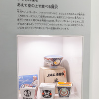 最近では吉野家とコラボレーションした機内食を発表している
