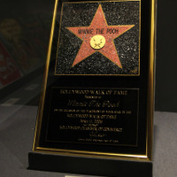 ハリウッド・ウォーク・オブ・フェームを受賞したときの記念プレート。「くまのプーさん」受賞記念プレート 2006年4月11日 ウォルト・ディズニー・アーカイブス (C)Disny
