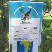 米動物園、実際の動物に『ポケモンGO』風のユニークな説明看板を作成