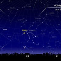 ペルセウス座流星群 2016年8月14日0時頃の東京の空　（c） 国立天文台天文情報センター