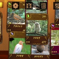 500種類のオリジナル動画配信、図鑑アプリ「動く野鳥コレクション」