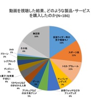 動画を視聴した結果、どのような製品・サービスを購入したのか？