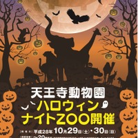 ハロウィンナイトZOOポスター　画像提供：大阪市天王寺動物園