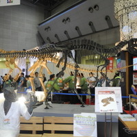 福井県のブースには恐竜の骨格も展示されている
