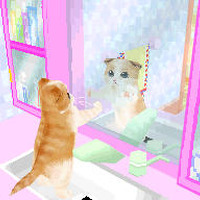 かわいい子猫DS3 かわいい子猫DS3