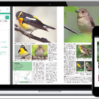 生物図鑑が読み放題、電子書籍「図鑑.jp」無料お試し5/31まで