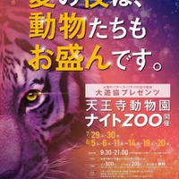 天王寺動物園「夏のナイトZOO」　写真提供：天王寺動物園