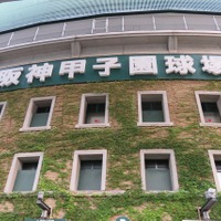 夏の甲子園がまもなく開幕する（イメージ写真）