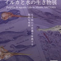 「イルカと水の生き物展　生き物の不思議を体験する知的な時間　ポスター表