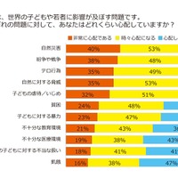 それぞれの問題に対して、あなたはどのくらい心配していますか