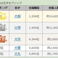 戌年干支にまつわる名字ランキング（1～5位）