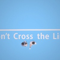 Webムービー「Don't Cross the Line.」
