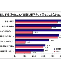 留学前に不安だったこと／実際に留学をして困ったこと