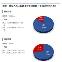 検挙・補導人員における少年の割合（平成30年4月末）