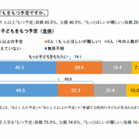 あと何人、子どもをもつ予定ですか