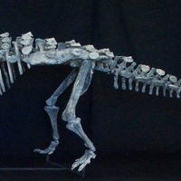 福井県立恐竜博物館所蔵の恐竜「ヨロイ竜」