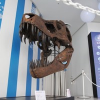 恐竜くんプロデュース 恐竜スカイミュージアム～鳥は恐竜だった！～