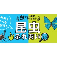 小田急百貨店新宿店　2018年「昆虫ふれあい展」