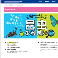 小田急百貨店新宿店「昆虫ふれあい展」