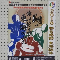 ２０１８彩る感゛投、東海総体相撲競技のポスター