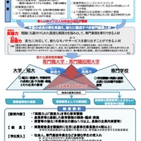 専門職大学・専門職短期大学の制度化について