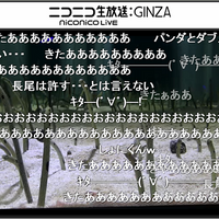 ニコニコ生放送視聴画面イメージ
