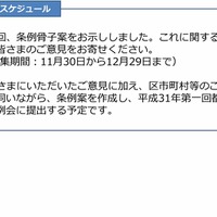 「東京都子供への虐待の防止等に関する条例（仮称）」の骨子案：今後のスケジュール