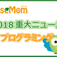 【2018年重大ニュース-プログラミング】プログラミングの波はおもちゃにも、入試にも活用