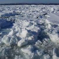 北海道網走の流氷船 オーロラ号 が3月31日まで運行中（撮影日：1月25日）