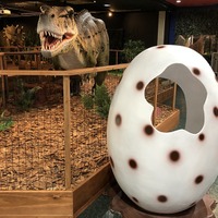 恐竜の卵の中に入ってSNS映えする写真を撮ることができる