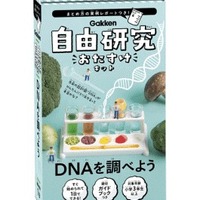 DNAを調べよう（自由研究おたすけキット）