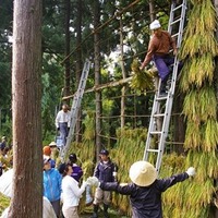 ご当地おにぎりマイスターチャレンジ（イメージ）