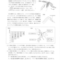 【高校受験2019】熊本県公立高校入試＜理科＞問題・正答）