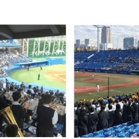 J:COMは「秋の高校野球 東京大会　ダイジェスト」を連日生放送