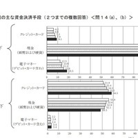 日常の資金決済手段（日常的な支払い）