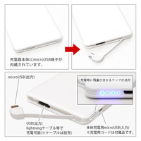 「モチモチの木 リチウムイオンポリマー充電器」4,280円（税込）(C) J.T/IWS 2019