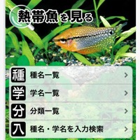 熱帯魚＆水草図鑑322選 アプリ画面イメージ