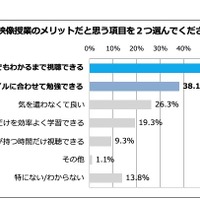 映像授業のメリットだと思う項目（2つ選択）