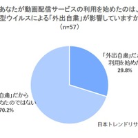 動画配信サービス利用のきっかけ